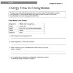 Science 10 Worksheet 3 Energy Flow In Ecosystems Answer Key At