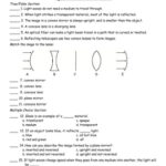 Science 8 Lenses Worksheets Answer Key