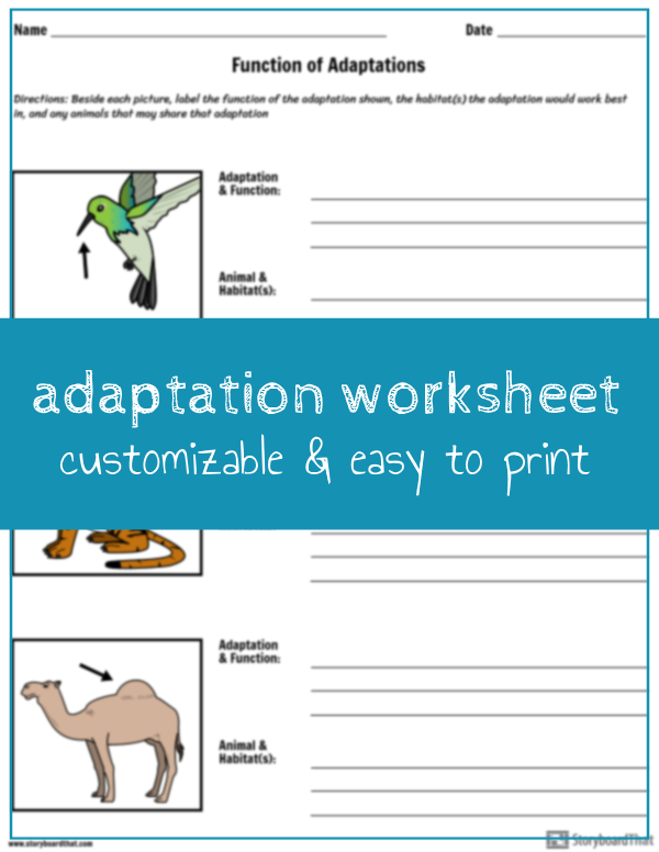 Science Adaptation Worksheet 5 Grade