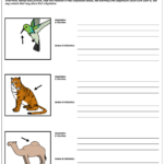 Science Adaptation Worksheet 5 Grade