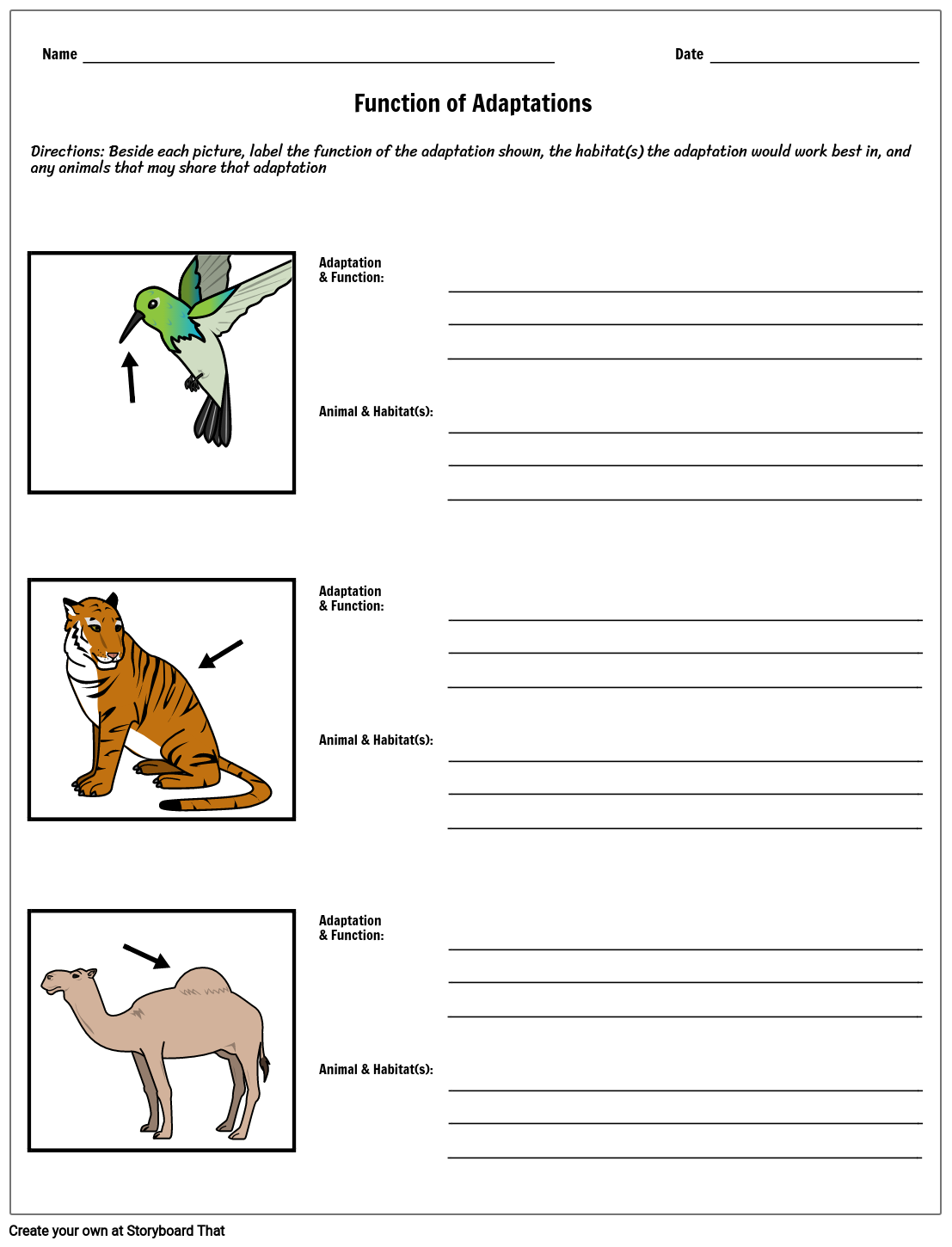 Science Adaptation Worksheet 5 Grade