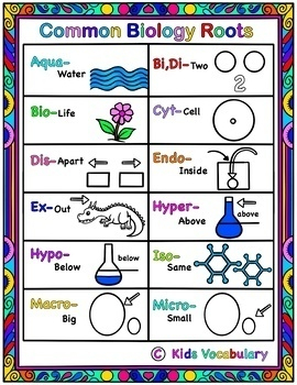 Science Curriculum Vocabulary For SLPs Special Education By Kids 