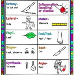 Science Curriculum Vocabulary For SLPs Special Education By Kids