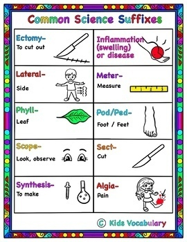 Science Curriculum Vocabulary For SLPs Special Education By Kids