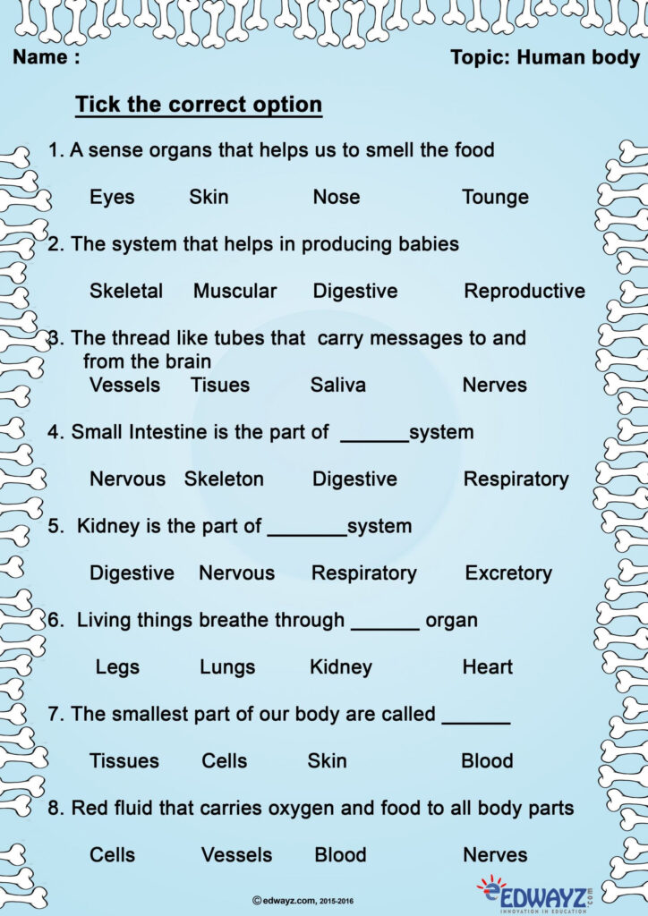 Science For 3rd Grade Worksheets