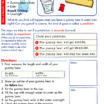 Science For 3rd Grade Worksheets