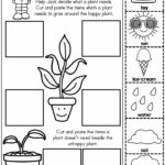 Science Free Printable Worksheets