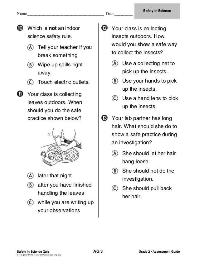 Science Fusion Grade 2 Worksheet