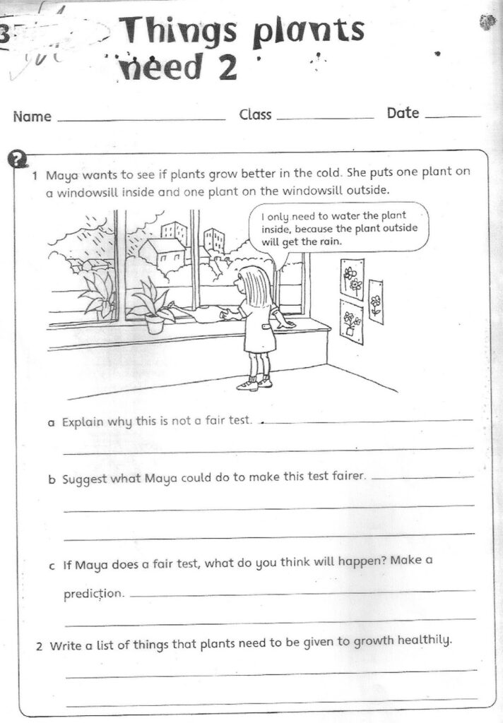 Science Fusion Grade 3 Worksheet