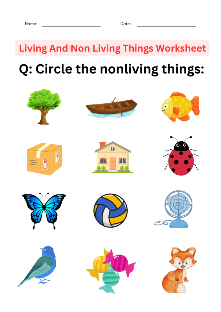 Science Living And Non Living Things Worksheet For Grade 1 2 3 4 