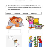 Science Process Skills 1 Year 3 Worksheet Live Worksheets