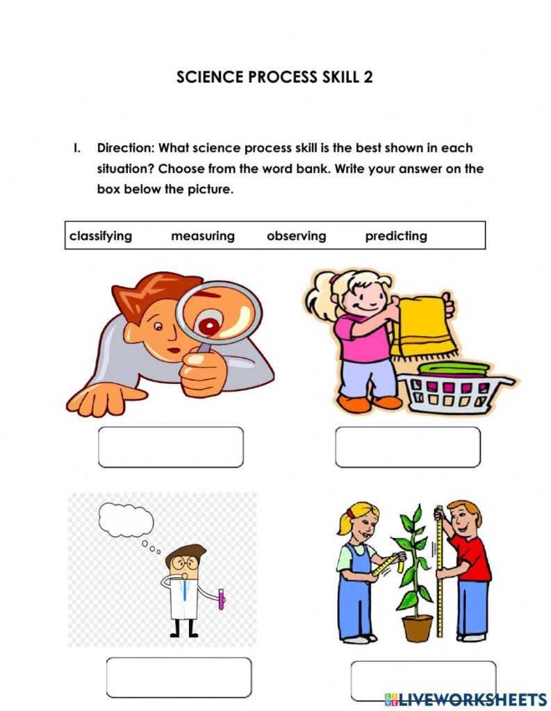 Science Process Skills 1 Year 3 Worksheet Live Worksheets 