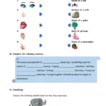 Science Process Skills Worksheets