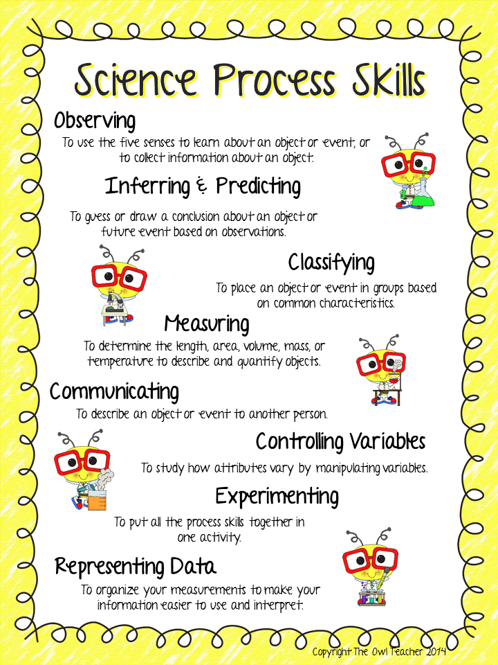 Science Process Skills Worksheets