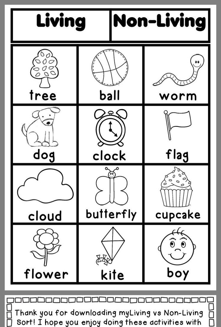 Science Sheets For Kindergarten