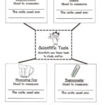 Science Tools Worksheet 5Th Grade Scienceworksheets