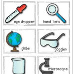 Science Tools Worksheet First Grade