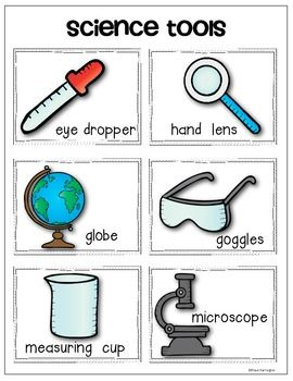 Science Tools Worksheet First Grade