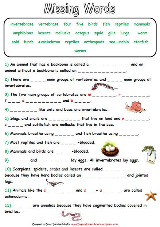 Science Worksheets For Grade 3 Animals