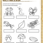 Second Grade Science Worksheets For Grade 2 Pdf Scienceworksheets