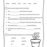 Second Grade Science Worksheets For Grade 2 Plants Thekidsworksheet