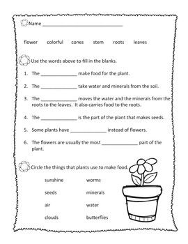 Second Grade Science Worksheets For Grade 2 Plants Thekidsworksheet