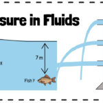 Section 13 1 Fluid Pressure