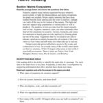 Skills Worksheet Active Reading What Is An Ecosystem Answers