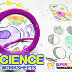 Super Teachers Worksheet Science