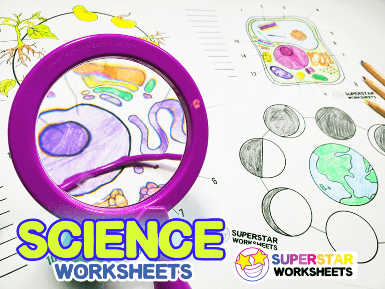 Super Teachers Worksheet Science