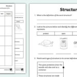 Technology Grade 7 Term 2 Structures Twinkl South Africa