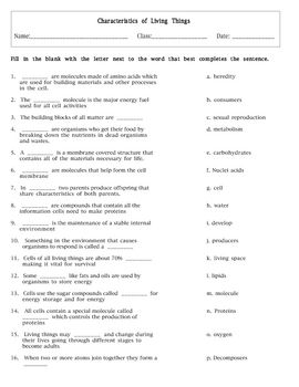 The Language Of Science And Medicine Worksheet Answer Key 