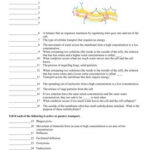 Transport Across The Cell Membrane Worksheet Answer Key