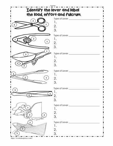 Types Of Levers Worksheet Physical Science