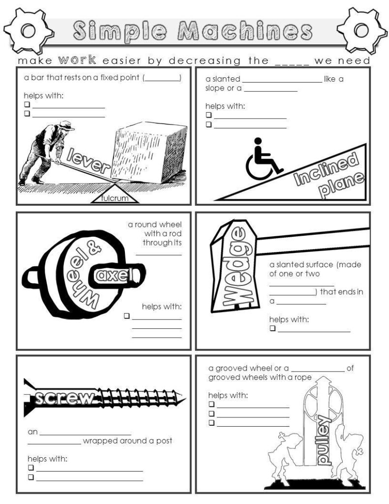 Types Of Levers Worksheet Physical Science