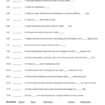 Video Worksheet Name Earth Science In Action Rocks Hour