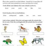 Worksheets Science Grade 3 Animals