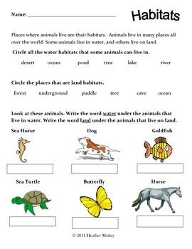 Worksheets Science Grade 3 Animals