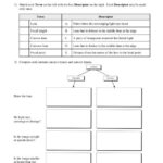 Worksheets Stationery Learn From Science 8 Lenses Worksheet Answer Key Pdf