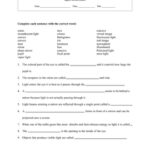 Worksheets Stationery Learn From Science 8 Lenses Worksheet Answer Key Pdf