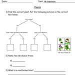 Year 4 Printable Resources Free Worksheets For Kids PrimaryLeap co uk