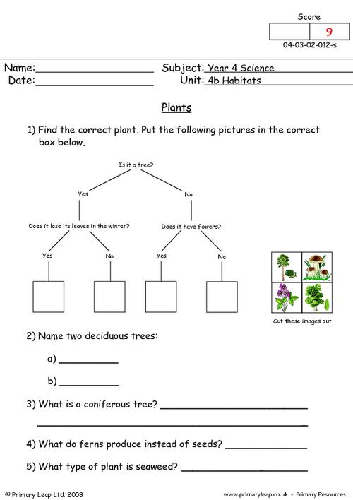 Year 4 Printable Resources Free Worksheets For Kids PrimaryLeap co uk