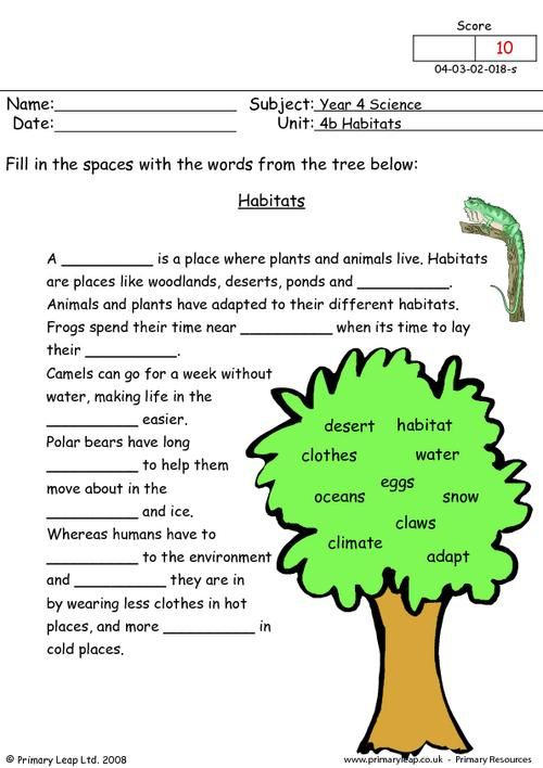 Year 4 Science Printable Resources Free Worksheets For Year 4 Science 